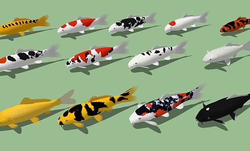 Modern Fish Tropical Koi Fish Combination 3d model