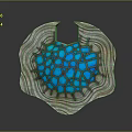 Medieval Shield Ancient Shield Defensive Weapon Ancient Shield Iron Shield Protective Shield Wooden Shield 3d model