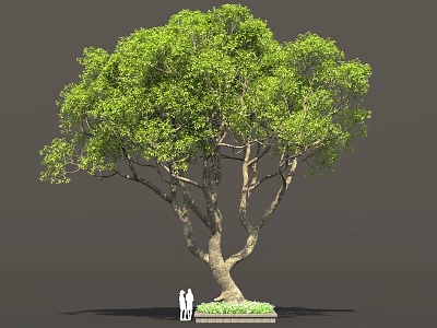 Tall Green Tree With Dense Foliage Brown Trunk And People At Base 3d model