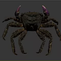 Detailed Crab With Purple Claws Dark Colored Body And Multiple Legs