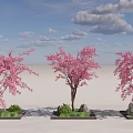 Pink Flowering Arbor Trees with Square Base Green Grass and Stones