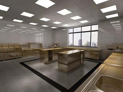 Commercial Kitchen Interior With Stainless Steel Workstations Cabinets Large Windows And Bright Lighting 3d model