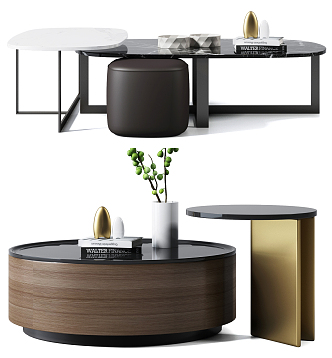 Modern coffee table coffee table decoration combination 3d model