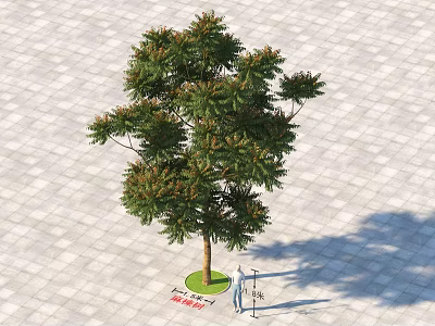 Healthy Arbor With Lush Green Canopy Standing On Paved Stone Ground 3d model