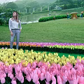 Woman Standing In Vibrant Tulip Field Enjoying Green Garden Lakeside View