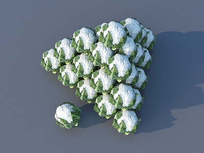 cauliflower 3D model 3d model