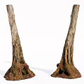 Natural Stone Wood Tree Trunks With Moss Covered Roots And Rustic Texture 3d model