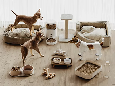 Reptile Habitat Setup With Essential Supplies 3d model