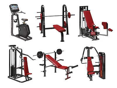 Professional Fitness Equipment Collection Including Treadmill Barbell Rack Bench Press And Machines 3d model