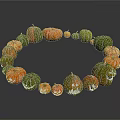 Fresh Colorful Pumpkins Arranged In Circle With Carved Faces And Various Sizes