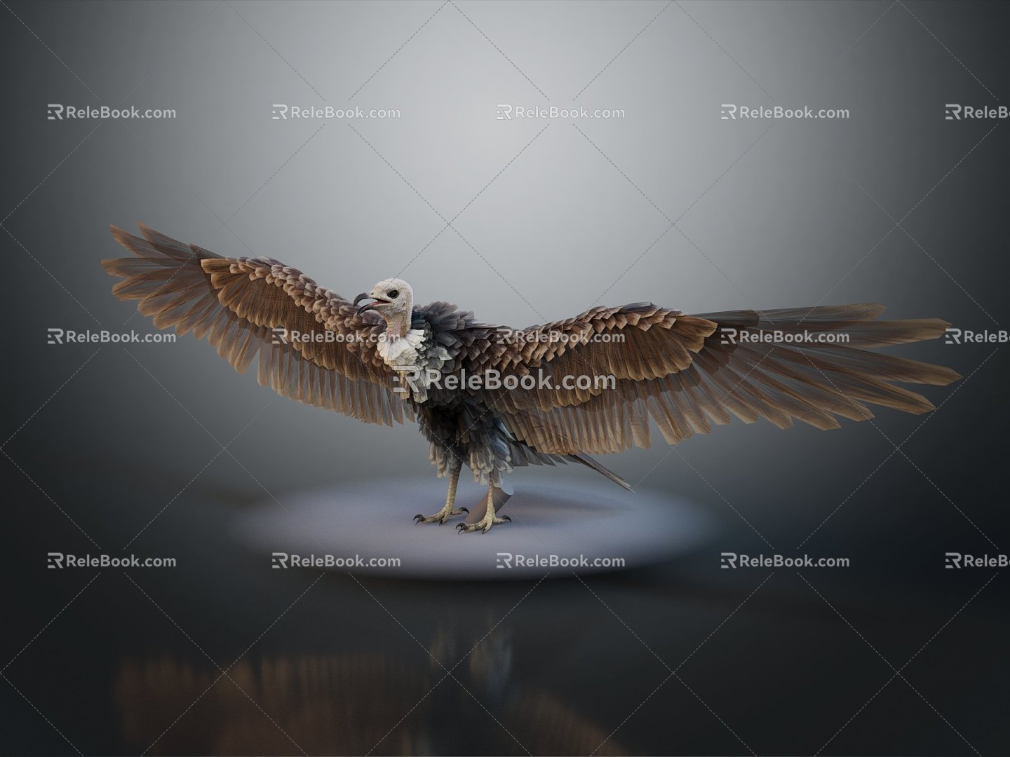 Modern Eagle Vulture Eagle Dapeng Bird 3d model