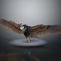 Vulture with Spread Wings Standing on White Base Against Gray Background 3d model