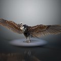 Modern Eagle Vulture Eagle Dapeng Bird 3d model