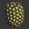 Fresh Pineapple with Green Yellow Skin and Scaly Texture on Dark Background