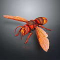 Realistic 3D Rendered Hornet With Red And Yellow Body And Transparent Wings On Dark Background