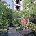 Serene Residential Landscape With Lush Trees Garden Pathway And Relaxation Area