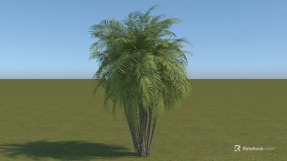 Palm Shrub With Green Foliage And Multiple Trunks In Grassland Under Blue Sky 3d model 