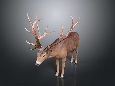 Realistic Brown Deer Statue With Large Antlers And Lifelike Details 3d model