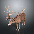 Realistic Brown Deer Statue With Large Antlers And Lifelike Details