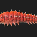 Red Spiky Creature With Segmented Body And Sharp Spines