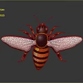 Realistic 3D Bee Model With Yellow Black Stripes And Transparent Wings