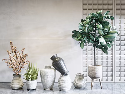 Stylish Indoor Potted Plants With Green Leafy Tree Aloe Vera Dried Branch and Ceramic Vases 3d model