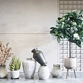 Stylish Indoor Potted Plants With Green Leafy Tree Aloe Vera Dried Branch and Ceramic Vases