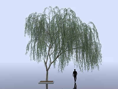 Weeping Willow Tree With Long Hanging Branches And Green Leaves Near Person 3d model