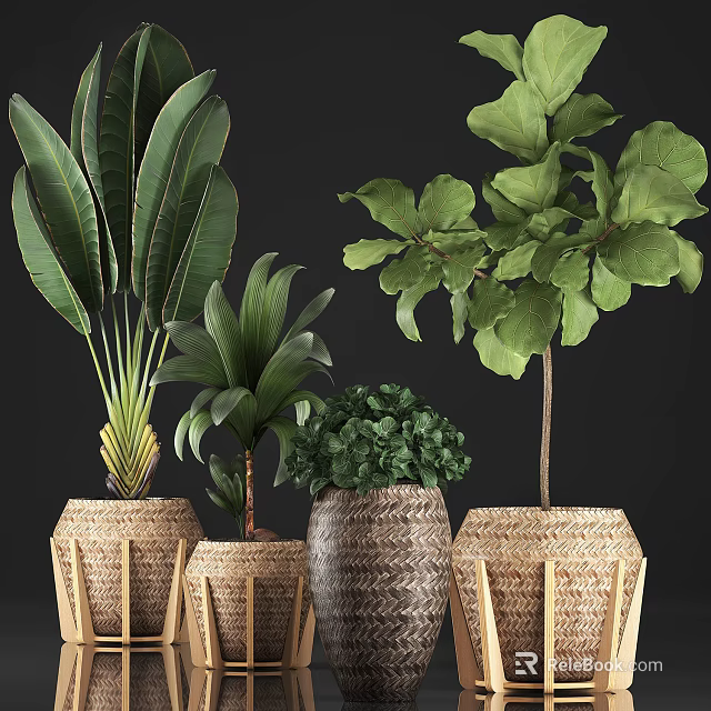 Large Leaf Green Potted Plants In Woven Pots For Indoor Decoration 3d model 