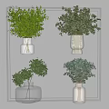 Decorative Vases with Fresh Green Plants in Different Styles for Interior Design