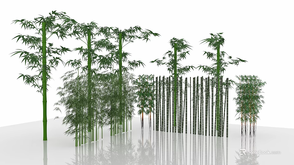 Different Types of Bamboo Plants With Tall Stalks Leafy Branches and Fence Design 3d model 