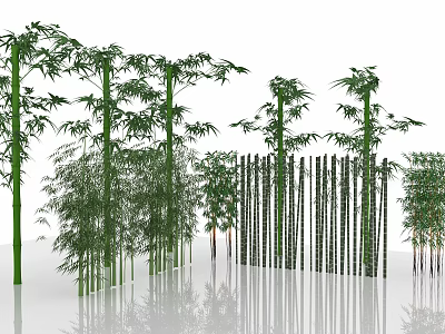 Different Types of Bamboo Plants With Tall Stalks Leafy Branches and Fence Design 3d model