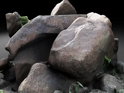 Natural Stones and Wood with Various Sizes Shapes Textures and Green Plants 3d model