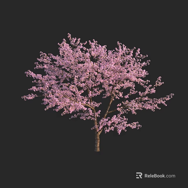 Pink Blossom Tree with Abundant Pink Flowers and Slender Brown Trunk 3d model 