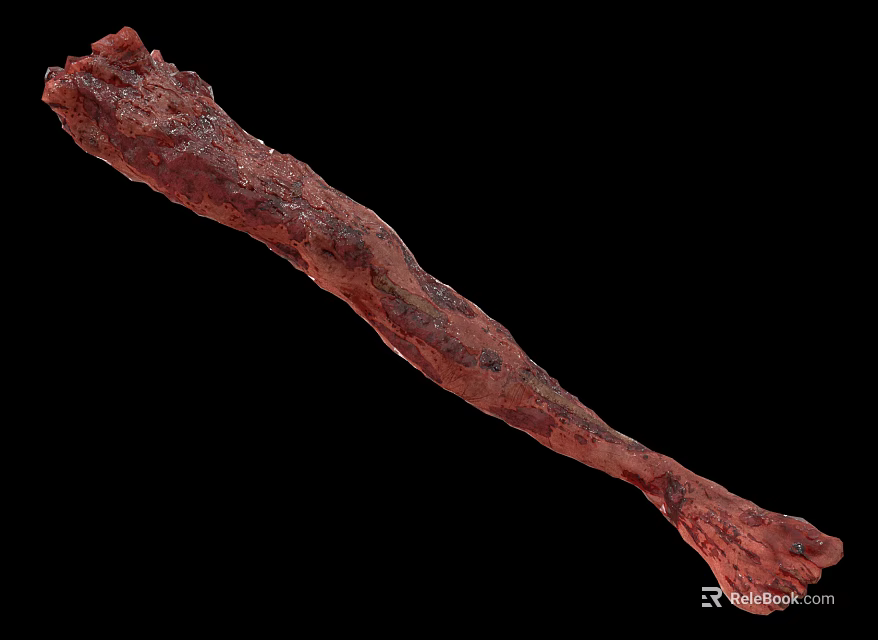 Biological Creature Limb Featuring Reddish Brown Detailed Texture And Elongated Shape 3d model