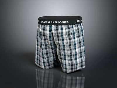 Jack & Jones Men's Boxers Featuring Plaid Pattern In Blue And White Checks 3d model