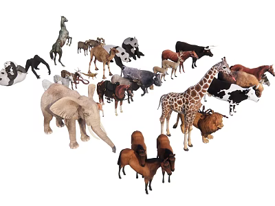 Various Reptile Species Including Lizards Snakes And Turtles In Wild Environments 3d model