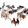 Various Reptile Species Including Lizards Snakes And Turtles In Wild Environments