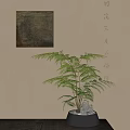 Bonsai Fern Plant in Black Pot with Stones Against Wall with Hanging Painting and Shadows