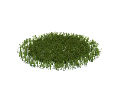 Lush Green Grass Lawn In Round Shape With Fresh Natural Vibrant Greenery 3d model