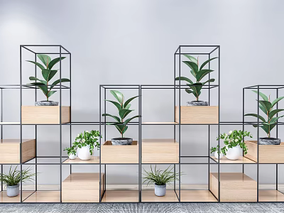 Modern Display Shelves with Metal Frames and Wooden Layers Holding Green Plants in Contemporary Design 3d model