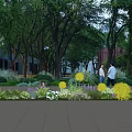 Beautiful Colorful Flowers And Green Plants In Urban Park With Trees And People Walking