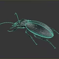 Dark Metallic Beetle With Long Antennae And Shiny Exoskeleton On Gray Background 3d model