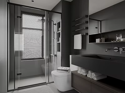 Sleek Modern Monochrome Bathroom With Glass Shower Enclosure And Wall Mounted Dark Vanity Fixtures 3d model