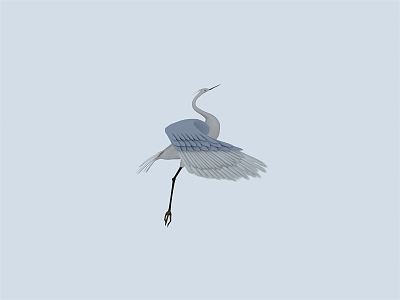 Modern Egret 3d model