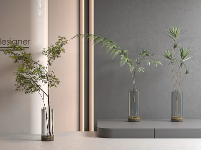 Aquatic Plants in Glass Vases as Modern Indoor Decorative Elements on Platform 3d model