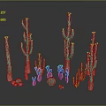 Various Green Cactus Plants in Different Sizes and Shapes on Black Reflective Background