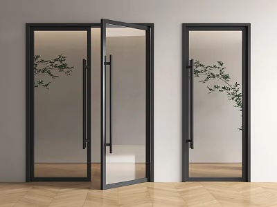 Modern Black Frame Glass Double Doors with Green Plants and Wooden Floor 3d model