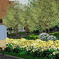 Residential Landscape With Walking Path Yellow Flowers Green Lawn And Trees