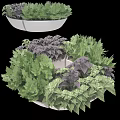 Bonsai Planter with Green and Purple Foliage in Circular Arrangement for Indoor Decor